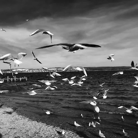 Ammersee *